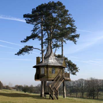 Amazon Tree House