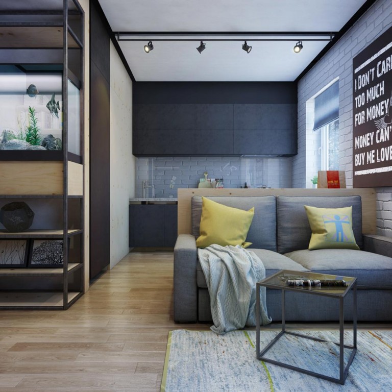 Tiny one bedroom apartment design with work space & bathtub